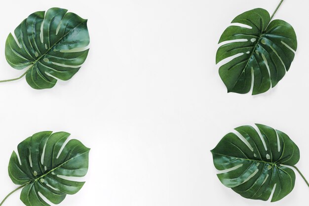 Flat lay de hojas tropicales con copyspace