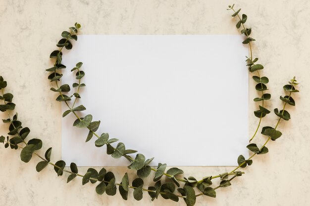 Flat lay de plantilla de tarjeta de papel con hojas
