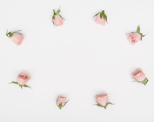 Flat lay rose buds marco y copia espacio de fondo