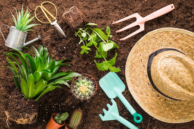 Flat lay de varios objetos de jardín