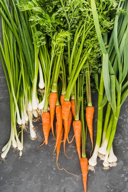 Flat lay de zanahorias