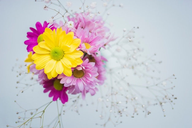 Foto gratuita flor amarilla bonita con flores moradas