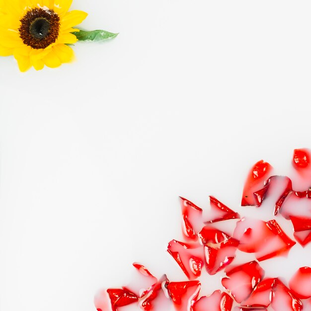 Flor amarilla y pétalos rojos flotando en el agua