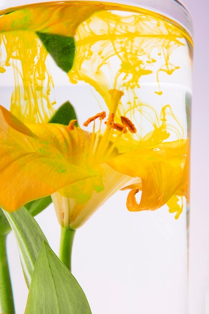 Foto gratuita flor amarilla en un vaso de agua con tinta