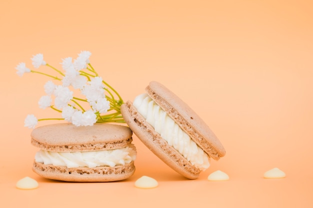 Flor blanca cerca de los macarrones sobre fondo coloreado