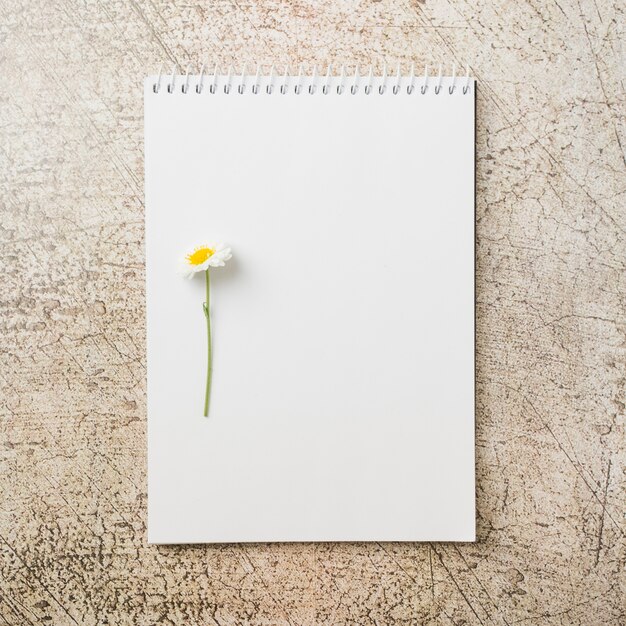 Flor blanca en el cuaderno de notas espiral en el contexto del grunge