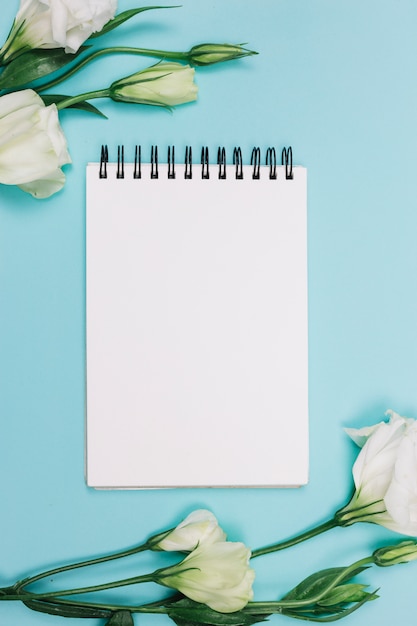 Flor blanca del eustoma con la libreta espiral en blanco en fondo azul