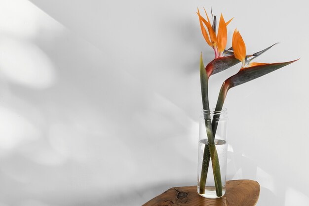 Flor de concepto mínimo abstracto con sombras en un jarrón