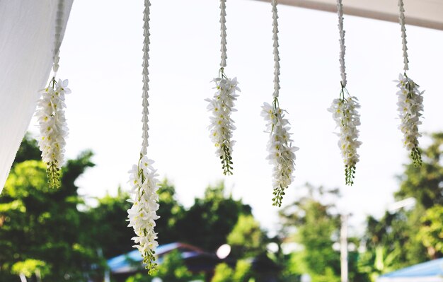 Flor Decoración Frescura Hermoso Ornamento