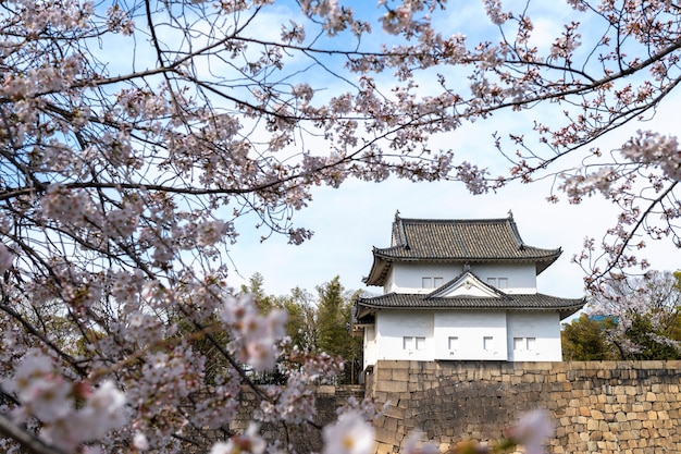 Flor de durazno japonés