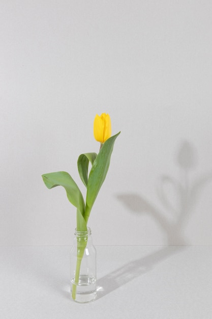 Flor de flor en un jarrón sobre la mesa