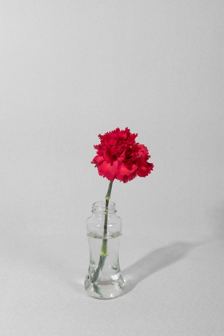 Foto gratuito flor de flor en un jarrón sobre la mesa
