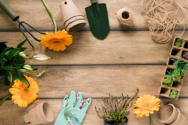 Flor fresca; plantas; bandeja de turba; Maceta de turba y equipos de jardinería dispuestos en mesa de madera marrón.