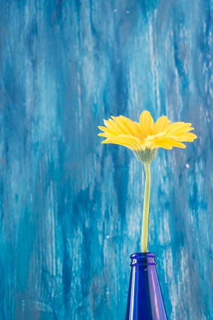 Foto gratuita flor de gerbera amarilla contra la pared pintada del grunge