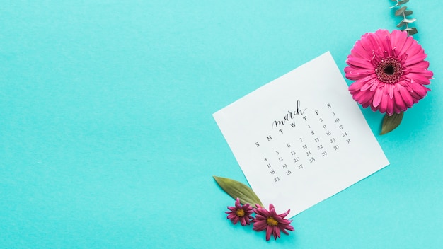 Flor de gerbera con calendario de marzo en mesa.