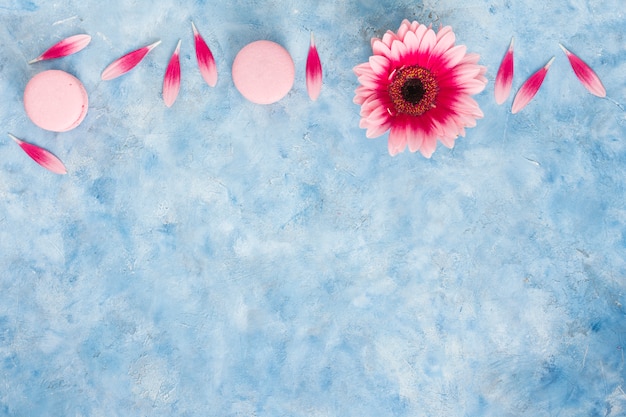 Flor de gerbera con pétalos y macarrones.