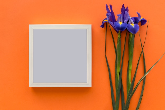 Foto gratuita flor de iris morado y marco de fotos negro sobre fondo naranja brillante