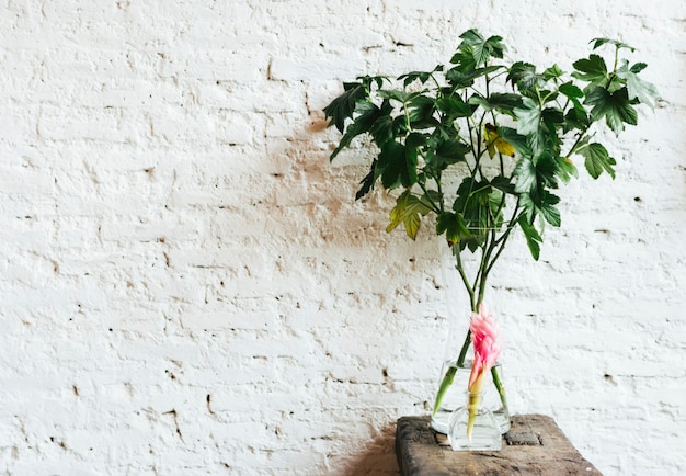 Foto gratuita flor de jengibre rojo sobre una mesa de madera