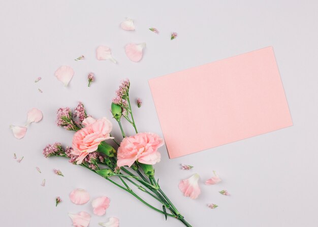 Flor de limonium rosa y claveles cerca del papel en blanco sobre fondo blanco