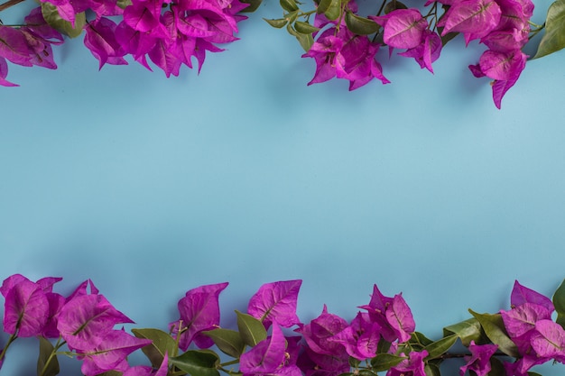 Foto gratuita flor morada con espacio de copia en superficie azul