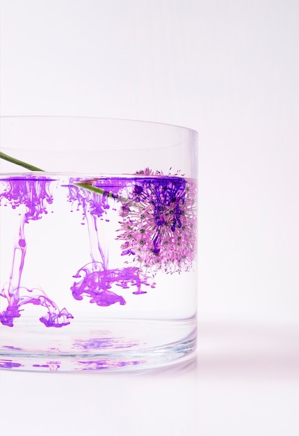 Foto gratuita flor morada en un vaso de agua