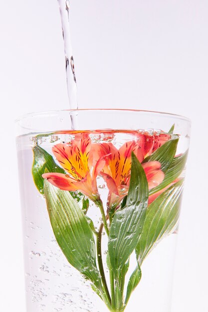 Flor de naranja en un vaso de agua con tinta