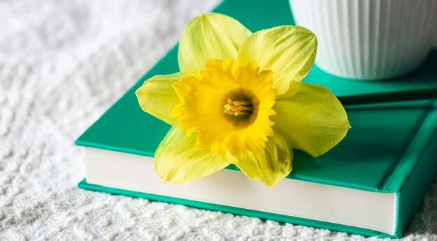 Foto gratuita flor de narciso amarillo y primer plano de libro verde