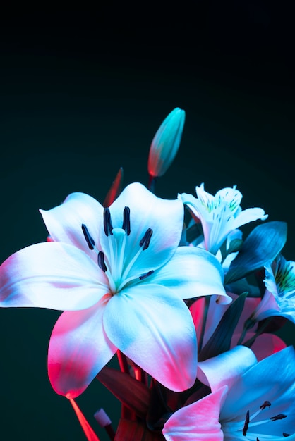 Flor de la orquídea contra el fondo negro
