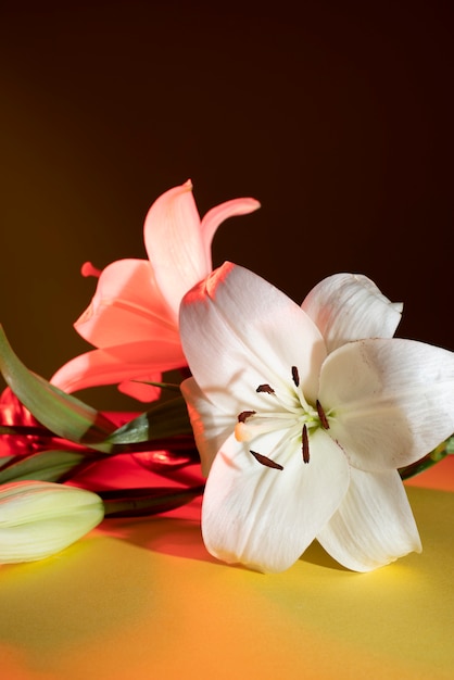 Foto gratuita flor de la orquídea contra la mesa dorada