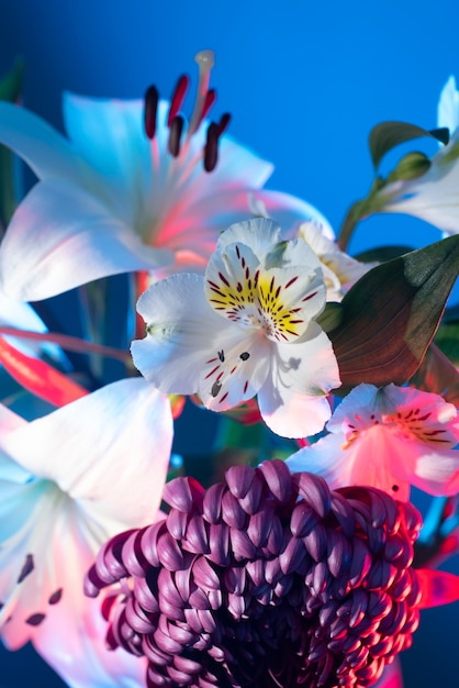 Flor de orquídea y flor de crisantemo contra el fondo azul.