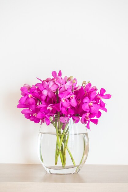 Flor de la orquídea en el florero