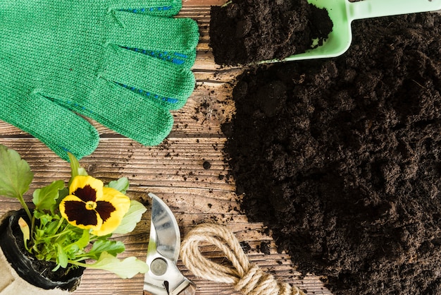 Flor de pensamiento planta de maceta; Herramientas de jardinería y guantes con suelo fértil en mesa de madera.