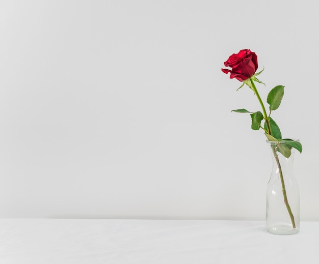 Flor roja fresca en florero a bordo