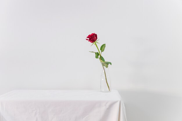 Flor roja fresca en florero en la mesa