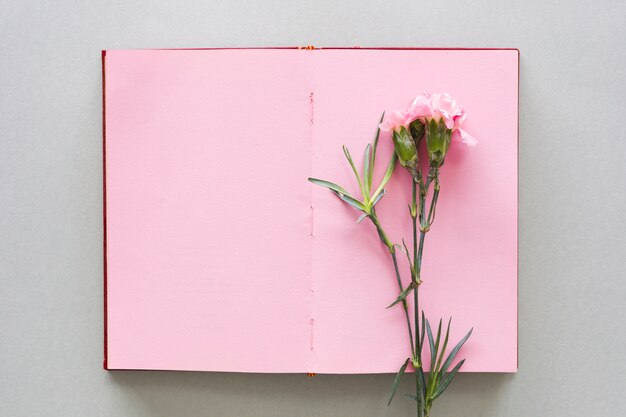 Flor rosa en cuaderno en mesa