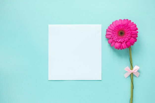 Flor rosa gerbera con papel en blanco sobre mesa