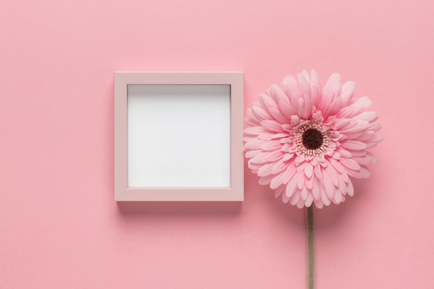 Flor rosa con marco pequeño