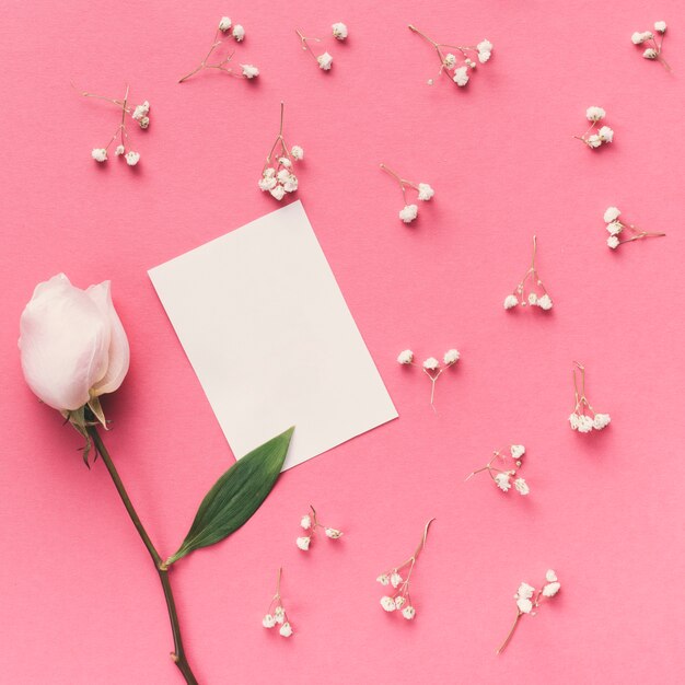 Flor rosa con pequeño papel sobre mesa.