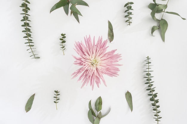 Flor rosa con plantas verdes