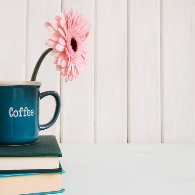 Flor en taza en la pila de libros