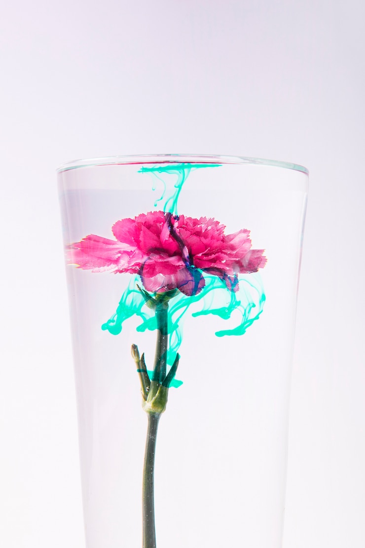 Foto gratuito flor en un vaso de agua con tinta