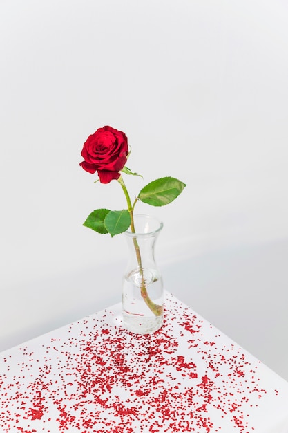 Floración roja fresca en florero entre confeti en mesa