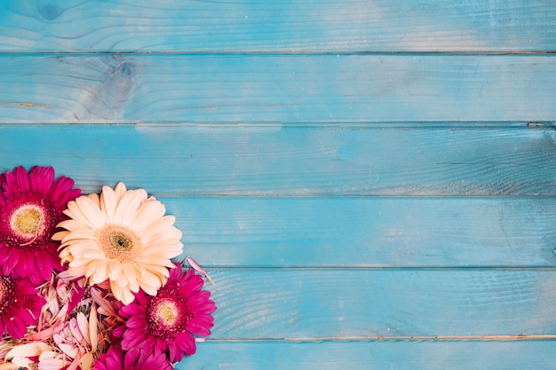 Floraciones y pétalos en la mesa