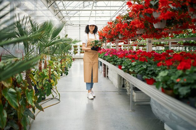Floreria femenina posando en invernadero con maceta en manos
