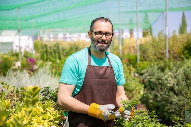 Floreria macho positivo de pie entre filas con plantas en macetas en invernadero, cortando arbustos, sosteniendo brotes,