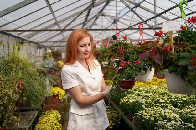 Floreria sonriente en su vivero inspeccionando flores en macetas mientras tiende a las plantas del jardín en el invernadero