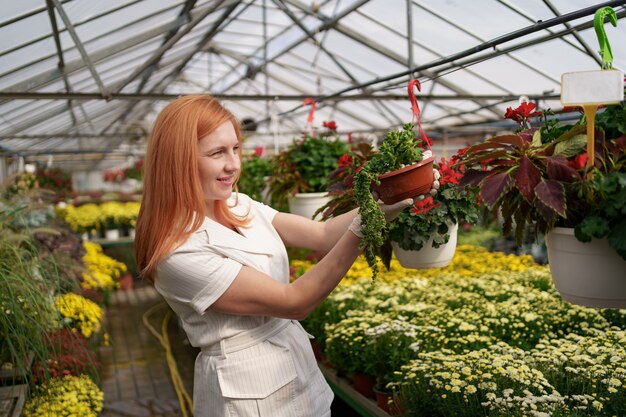 Floreria sonriente en su vivero inspeccionando flores en macetas mientras tiende a las plantas del jardín en el invernadero