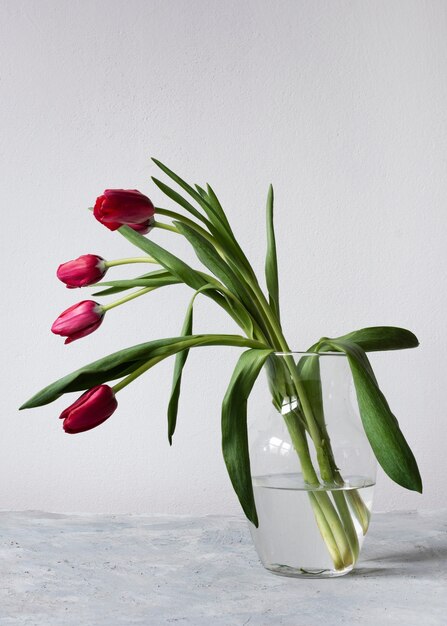 Florero con tulipanes rojos y rosados