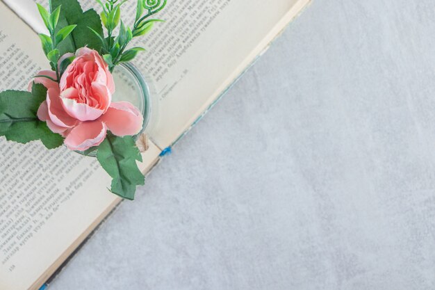 Flores agraciadas en un frasco en el libro, sobre el fondo blanco. Foto de alta calidad