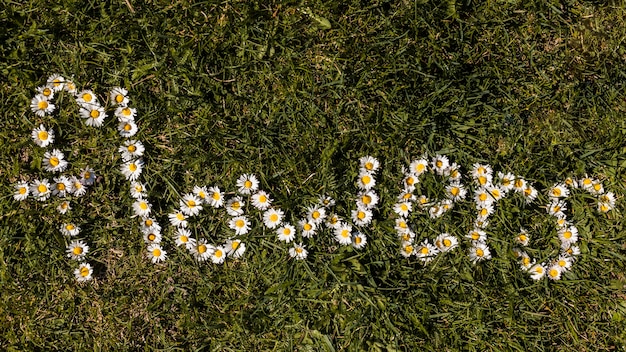 Flores al aire libre